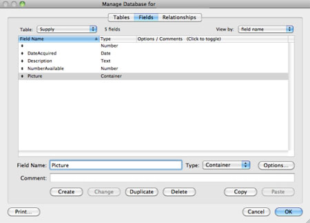 FileMaker Data Field Types